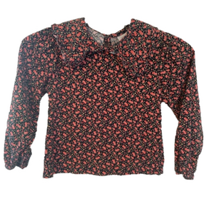 COPY - Zara flowery Longsleeve 7years